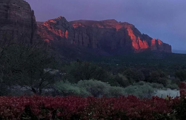 Cozy Cactus Resort ...sorta kinda - Photo 44