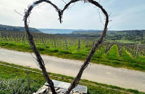 Ferienwohnung Moselherz - Urlaub im Wein- und Ferienort Bekond - Foto 9