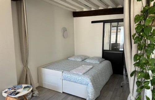 Appartement central - ORLEANS - Foto 6
