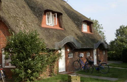 Marschküken - Foto 3