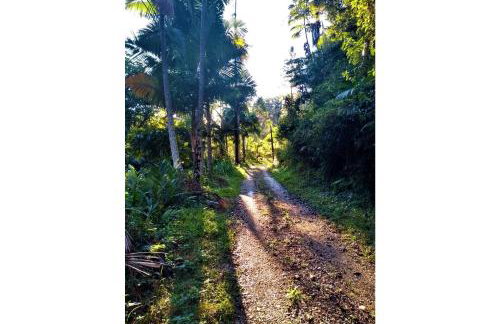 Sitio Libardo em Meio a Natureza - Nova Trento - Foto 148