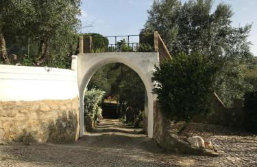 Quinta dos Canais - Photo 32