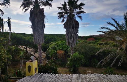 Villa Maga - Foto 10