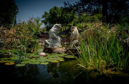 Finca Sonrisa - Photo 39