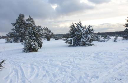 Ferienwohnung Ram 1 - Photo 57