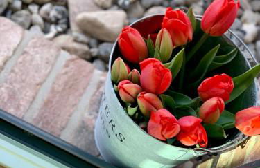 Reethus Linda - Foto 35