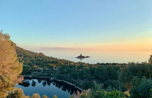 Les Oliviers de l'Esterel - Foto 34