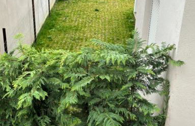 Dream House Karagounis - Foto 26