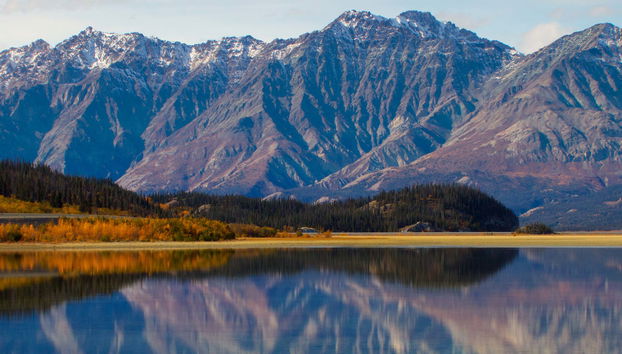 Excursión al Parque Nacional de Kluane
