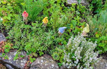 Ferienwohnung Klaus Siegritzberg - Foto 8