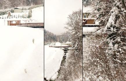 Czarodziejska Góra Kozubnik Daglezja - Foto 29