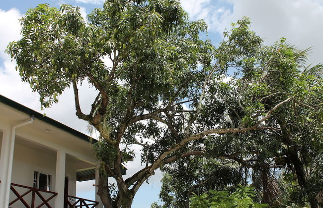 Asteria Studios - Photo 66