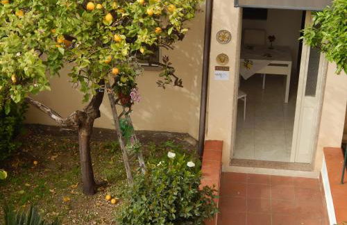 Nel giardino di Nunziatina - Photo 56