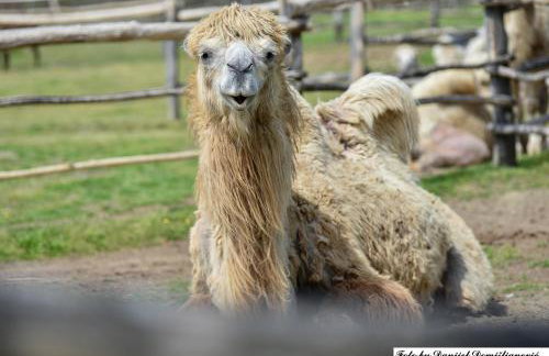 Studio apartman CENTAR - Foto 21