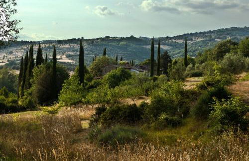 Antico Giuncheto - Photo 9