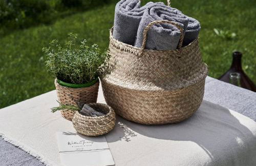 Agriturismo PANCOLINA - Foto 13