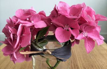 Maison Cenon indépendante avec jardin et parking - Foto 12