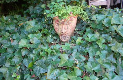 Ferienhaus-Barz - Foto 22