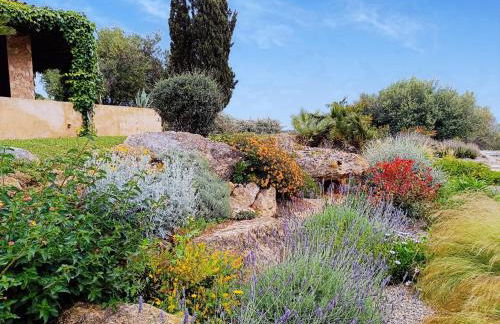 Finca rural s'Estepa - Photo 9