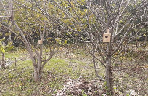 Adega Peróla - Photo 22