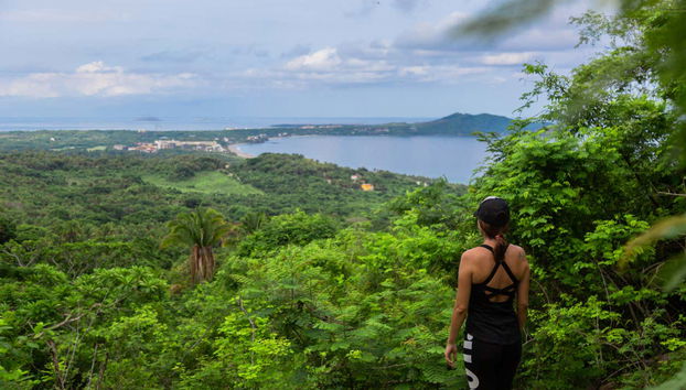 Vue sur la baie de Banderas