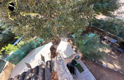 T3 Classée 3 étoiles proche plage à pied San Cipriano - Foto 24