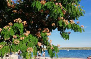 Apartmani Nena - Foto 32