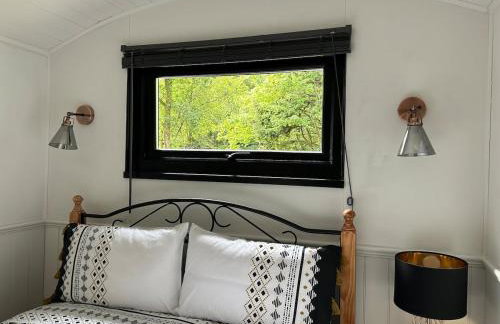 Flying Scotsman Unique Carriage Pet Friendly! Lazy Spa can be available upon request with additional cost of 40 - Foto 9