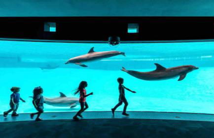 Charming Stay with Pool and Dedicated Workspace - Foto 25