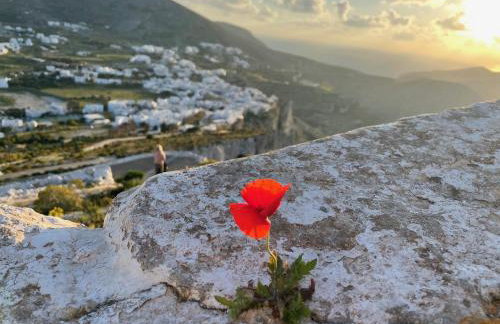 Folegandros-Cliffhouse - Foto 32
