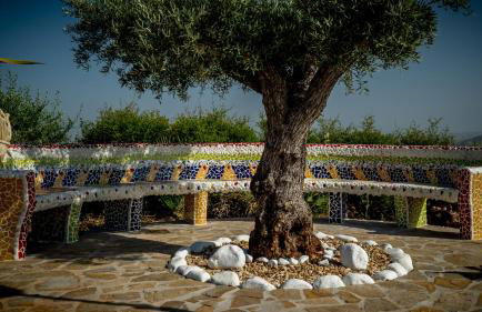 Finca Sonrisa - Photo 32