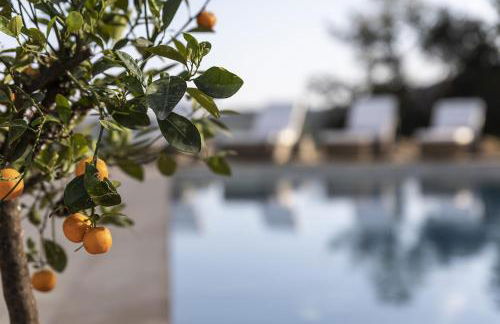 Agriturismo PANCOLINA - Foto 10