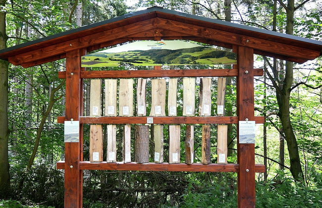 Wohnung im 1. Stock bei Willingen - Foto 54