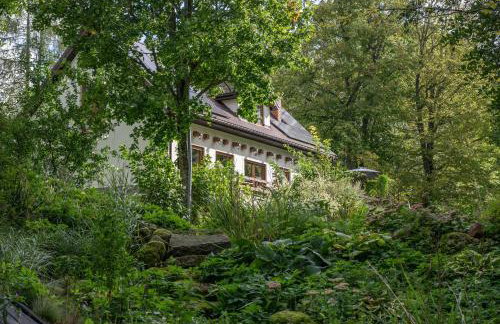 Park Wilkasy - Foto 3