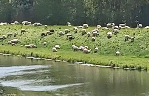 Apartment Wohnung in Jameln mit Garten- Grill und Terrasse by Interhome - Foto 38