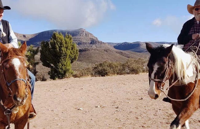 Joshua Tree Horseback Riding Tour - Photo 1