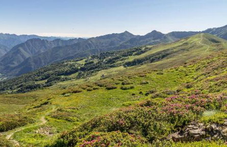 Rifugio Camparient - Foto 43