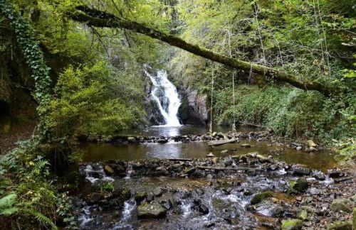 Cozy Garden Retreat Malemort - Foto 22