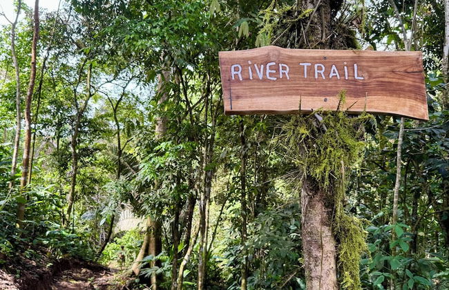 Maze Lodge - Foto 48