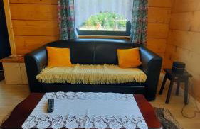 Domek do wynajęcia - Siedlisko przy lesie - Foto 20