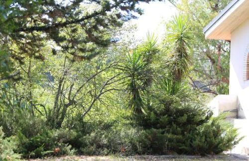 Manuel suites - Foto 40