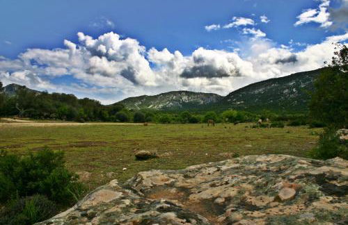 Home Balloon - Foto 43