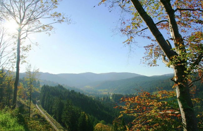 Apartment in Dachsberg-urberg - Foto 33