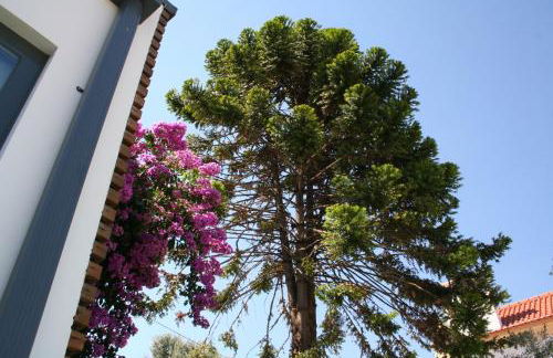 VilaPortuguesa - Foto 86