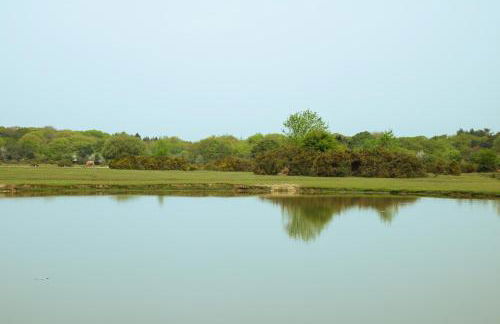 Downton Lodge - Photo 27