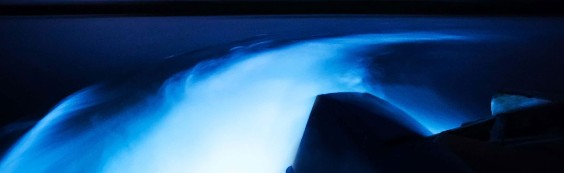 Luminous Lagoon Night Cruise