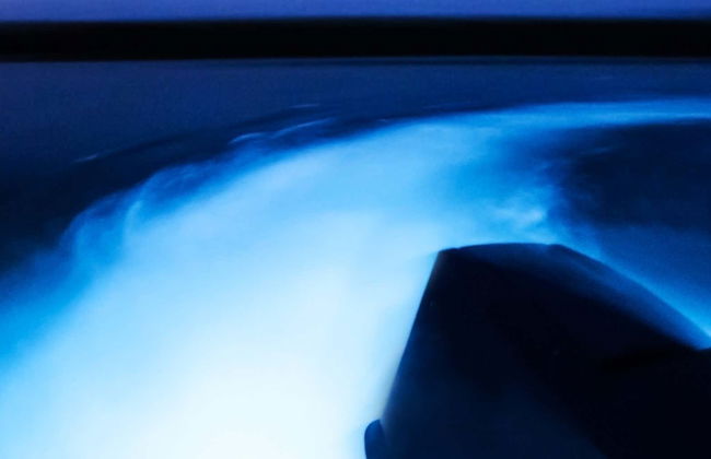 Luminous Lagoon Night Cruise - Photo 1