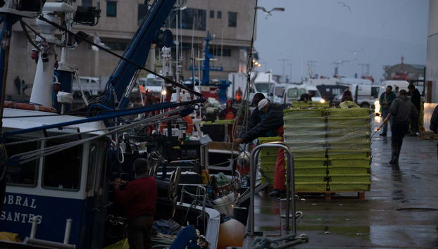 Tour por el puerto de Vigo + Visita a un vivero de marisco - Foto 5