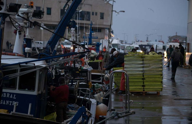 Visite du port de Vigo + Visite d'un vivier à crustacés - Photo 5