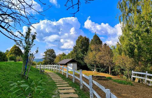 Discover the magic of nature - Foto 27